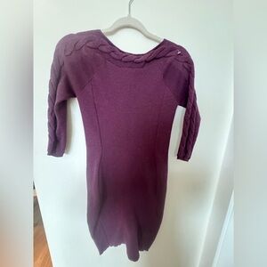 The Limited Plum Long Sleeve Dress